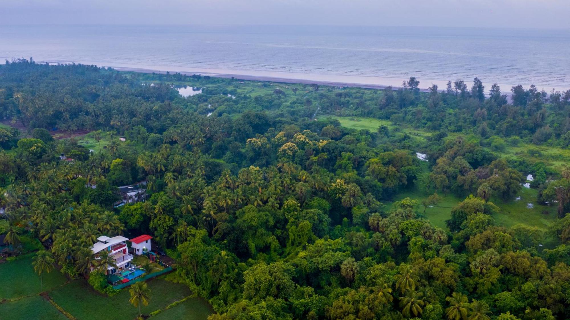Spicy Mango Villa Elegano - Luxurious Villa Near Nagaon Beach, Alibag Eksteriør bilde